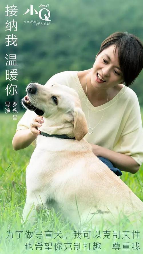 仿制假爱尔兰身份证哪里可以制作农业银行流水账单
